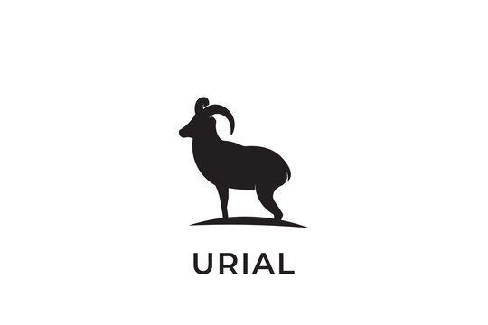 urial silhouette logo design, simple design urial logo vector illustration with long horns