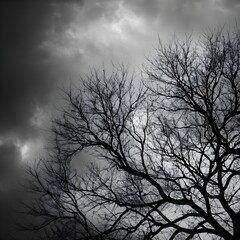 Bare Branches Against Stormy Sky