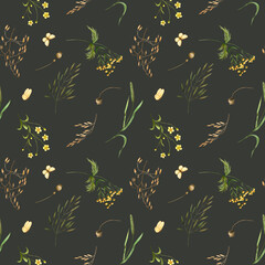 Pattern wild field herbs, butterflies. Watercolor illustration on dark green background hand drawn. Seamless print meadow plants for fabric, clothes, textile, packaging, wallpaper, cosmetics products
