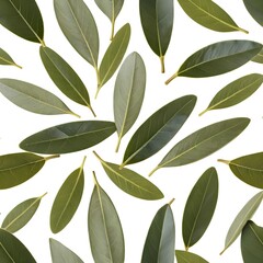 Bay Leaves Pattern
