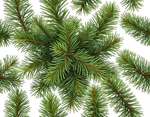 Lush Green Pine Branches, Christmas, Winter, Holiday Decoration