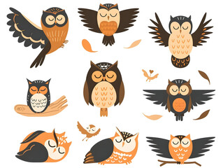 flat vector owl icons in flying, perched and sleeping poses, clean outlines and simple forest palette, modern animal clipart, isolated on white background