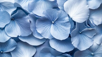 Close up of delicate flower petals showcasing intricate macro textures and soft colors