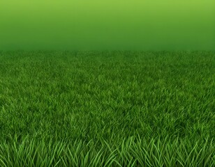 Obraz premium Lush Green Grass Field