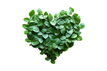 Heart-shaped greenery isolated on transparent background