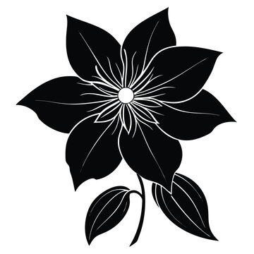 recommend clip art: Black and White Clematis Flower Illustration: Elegant Floral Design, Botanical Art, Vector Graphic, Nature Inspired, Detailed Petals and Leaves