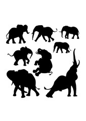 Elephant wild animal silhouettes