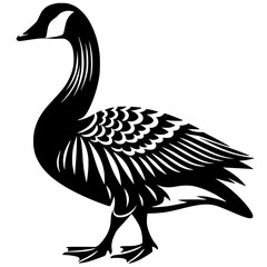 Silhouette of a swan
