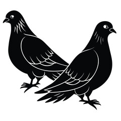 Fototapeta premium Black Silhouette Pigeons Vector Illustration: Two Pigeons Standing Side by Side, Bird Graphic Design, Wildlife Art, Animal Clipart