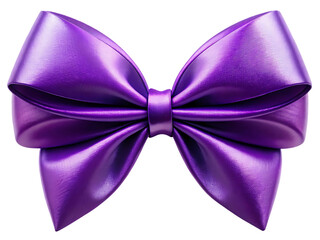 Purple Shiny Hair Bow