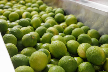 Green limes washed in water at food processing station before packaging.