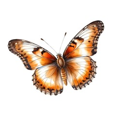 Fototapeta premium Watercolor Painting of an Orange Butterfly