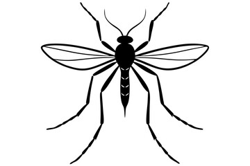 High-quality vector illustration of various insects, ideal for scientific, educational, and design purposes. This detailed and scalable artwork features common insect species such as mosquitoes, flies