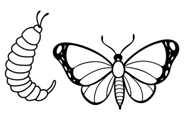High-quality vector illustration of various insects, ideal for scientific, educational, and design purposes. This detailed and scalable artwork features common insect species such as mosquitoes, flies