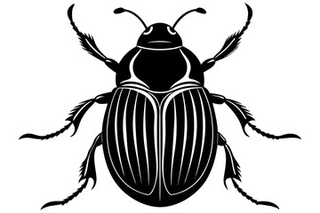 High-quality vector illustration of various insects, ideal for scientific, educational, and design purposes. This detailed and scalable artwork features common insect species such as mosquitoes, flies