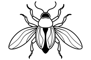 High-quality vector illustration of various insects, ideal for scientific, educational, and design purposes. This detailed and scalable artwork features common insect species such as mosquitoes, flies
