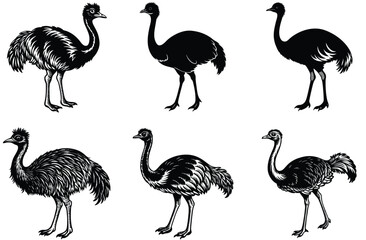 Cute cartoon ostrich silhouette vector illustration