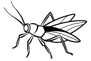 Discover a high-quality Insect Vector illustration, perfect for adding a natural, detailed touch to your designs. This vector graphic features a variety of insects, ideal for nature-themed projects, e