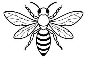 Fototapeta premium Discover a high-quality Insect Vector illustration, perfect for adding a natural, detailed touch to your designs. This vector graphic features a variety of insects, ideal for nature-themed projects, e