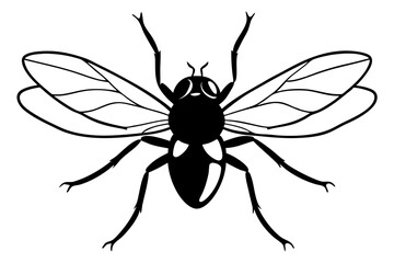 Discover a high-quality Insect Vector illustration, perfect for adding a natural, detailed touch to your designs. This vector graphic features a variety of insects, ideal for nature-themed projects, e