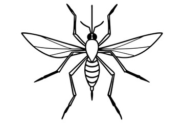 Discover a high-quality Insect Vector illustration, perfect for adding a natural, detailed touch to your designs. This vector graphic features a variety of insects, ideal for nature-themed projects, e