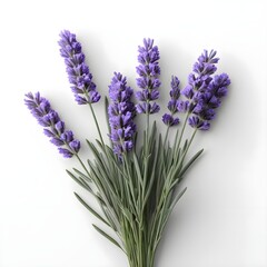 Naklejka premium Lavender Flowers Bouquet on White Background