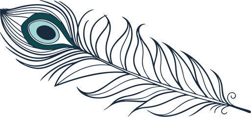 Obraz premium A vector illustration of a peacock feather silhouette, a natural design element