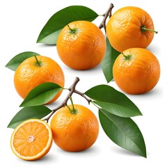 Fresh Oranges with Leaves