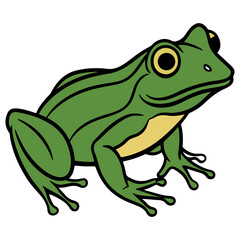 Cartoon Green Frog Illustration - Side View