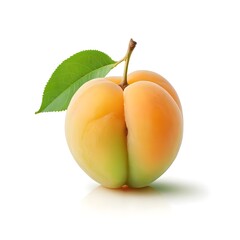 Single Ripe Apricot with Leaf