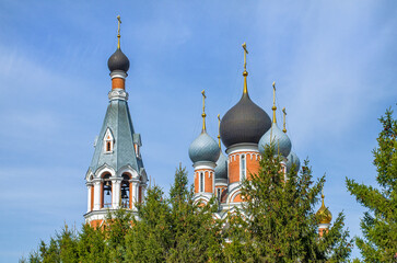 Church domes behind the trees