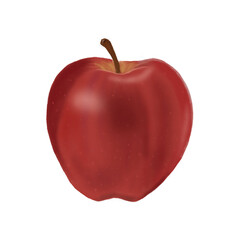 Apple red color drawing. Vector illustration design.