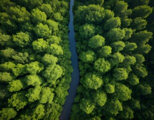 Naklejka premium Aerial View of River Cutting Through Lush Green Forest