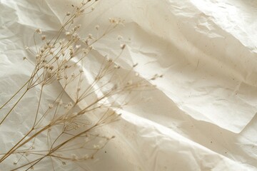 Minimalist Dried Flowers on Wrinkled White Paper – Soft Natural Aesthetic Background