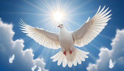 White Dove Soaring in Sunbeams