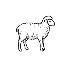 Fototapeta premium Sheep or lamb standing in vector illustration black outline. Easter symbol, agriculture, types of animals concept