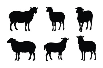 Fototapeta premium Sheep silhouettes set illustration.