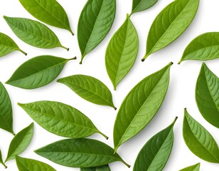 Fototapeta premium Green Leaves Pattern