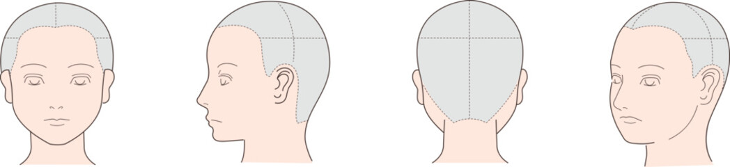 色々な角度から見た人の顔の図