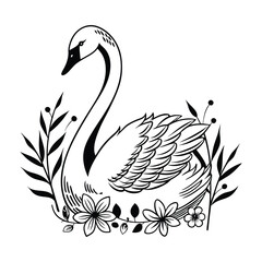 Peacock Bird Silhouette vector illustration