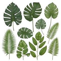 Fototapeta premium Tropical Leaves Collection Variety of Lush Green Foliage