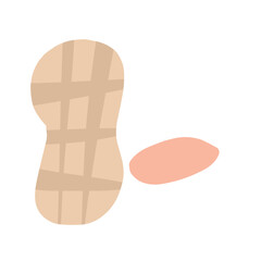 Peanuts vector illustration 