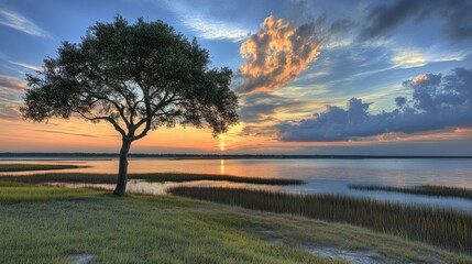 Fototapeta premium A lone tree standing on a shoreline during a vibrant sunset