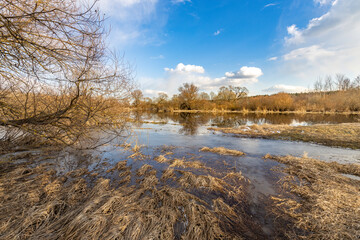 A body of water is surrounded by trees and grass