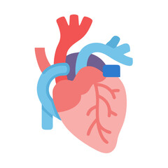 Obraz premium Heart and Aorta Illustration Icon Representing Cardiovascular Health and Circulation