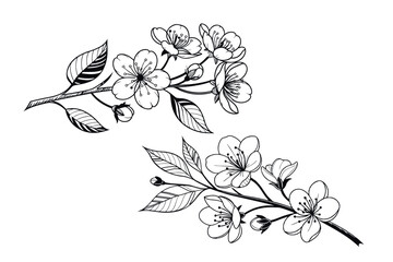 Abstract floral decoration flowers vector Design line art illustration silhouettes Floral vintage sketch   