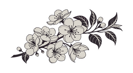 Abstract floral decoration flowers vector Design line art illustration silhouettes Floral vintage sketch   