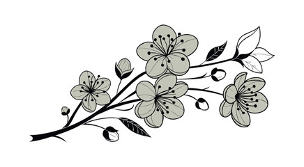 Abstract floral decoration flowers vector Design line art illustration silhouettes Floral vintage sketch   