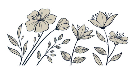 Abstract floral decoration flowers vector Design line art illustration silhouettes Floral vintage sketch   
