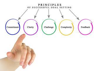  Five Principles of Successful Goal Setting